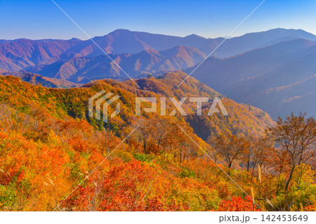 秋の快晴の朝 枝折峠から望む見事な全山紅葉の山並みと奥にそびえ立つ名峰毛猛山 秋の快晴の朝 枝折峠から望む見事な全山紅葉の山並みと奥にそびえ立つ名峰毛猛山 142453649