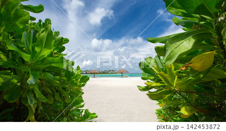 sea and beach background with copy space sea and beach background with copy space 142453872
