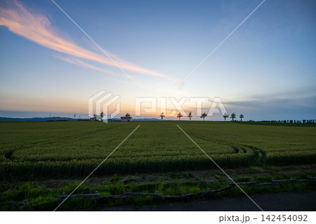 メルヘンの丘の夕暮れ メルヘンの丘の夕暮れ 142454092