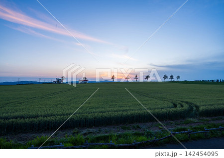メルヘンの丘の夕暮れ メルヘンの丘の夕暮れ 142454095