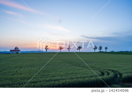 メルヘンの丘の夕暮れ メルヘンの丘の夕暮れ 142454096