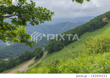This is the scenery of Mindungsan Mountain in Gangwon-do. This is the scenery of Mindungsan Mountain in Gangwon-do. 142454151
