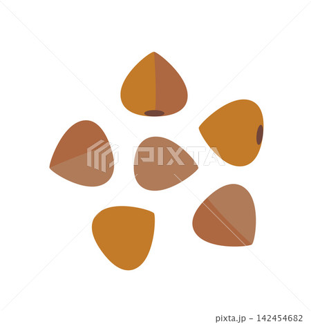 Buckwheat grains, natural cereal ingredient illustration for healthy food, cooking and agriculture concept Buckwheat grains, natural cereal ingredient illustration for healthy food, cooking and agriculture concept 142454682