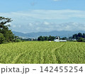 実りの季節を迎えた田んぼと軽トラック　長野県松本市 142455254