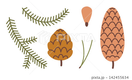 Collection of pine cones, fir branches and conifer elements. Flat vector botanical set for woodland, winter, Christmas and nature themed designs Collection of pine cones, fir branches and conifer elements. Flat vector botanical set for woodland, winter, Christmas and nature themed designs 142455634