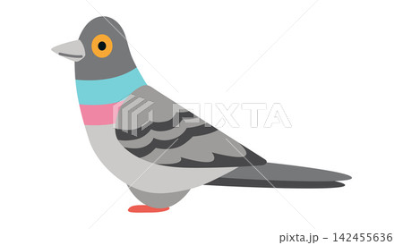 Flat vector illustration of a pigeon. Urban bird isolated for city wildlife, parks, birdwatching and everyday nature themed designs Flat vector illustration of a pigeon. Urban bird isolated for city wildlife, parks, birdwatching and everyday nature themed designs 142455636