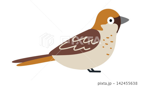 Flat vector illustration of a sparrow. Small brown garden bird isolated for wildlife, nature, birdwatching and nature themed designs Flat vector illustration of a sparrow. Small brown garden bird isolated for wildlife, nature, birdwatching and nature themed designs 142455638