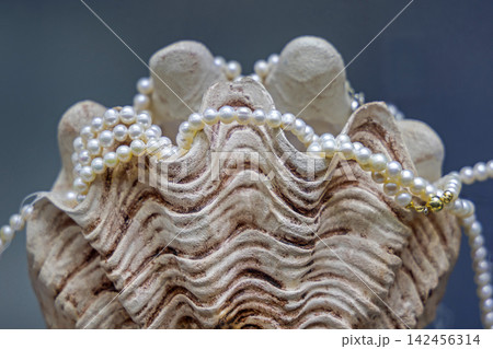 Real Pearls Sea Shell Real Pearls Sea Shell 142456314