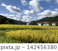 田んぼ 142456380