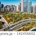 Autumn city park landscape. Cityscape with city park. Chicago high rises. Chicago cityscape skyline architecture. Skyscraper and landscape. Chicago cityscape. Chicago downtown city park and skyline 142456602