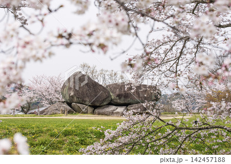 石舞台古墳と桜の風景 国の特別史跡 飛鳥・藤原の宮都 奈良の観光スポット ユネスコ世界文化遺産 石舞台古墳と桜の風景 国の特別史跡 飛鳥・藤原の宮都 奈良の観光スポット ユネスコ世界文化遺産 142457188