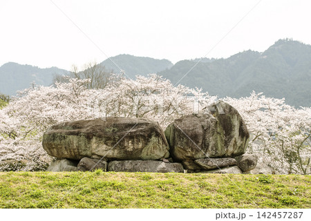 石舞台古墳と桜の風景 国の特別史跡 飛鳥・藤原の宮都 奈良の観光スポット ユネスコ世界文化遺産 石舞台古墳と桜の風景 国の特別史跡 飛鳥・藤原の宮都 奈良の観光スポット ユネスコ世界文化遺産 142457287