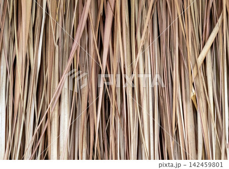 Dry thatch roof texture with brown straw background Dry thatch roof texture with brown straw background 142459801