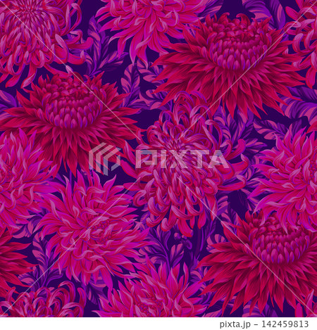 Seamless pattern with chrysanthemums. Vector. 142459813