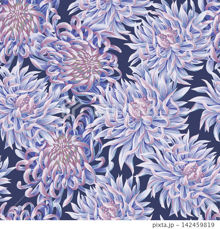 Seamless pattern with chrysanthemums. Vector. 142459819