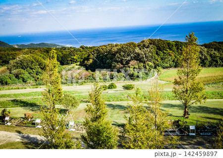 淡路島、あわじ花さじき県立公園の風景 淡路島、あわじ花さじき県立公園の風景 142459897