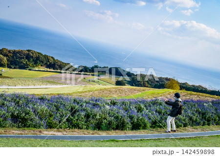 淡路島、あわじ花さじき県立公園の風景 淡路島、あわじ花さじき県立公園の風景 142459898
