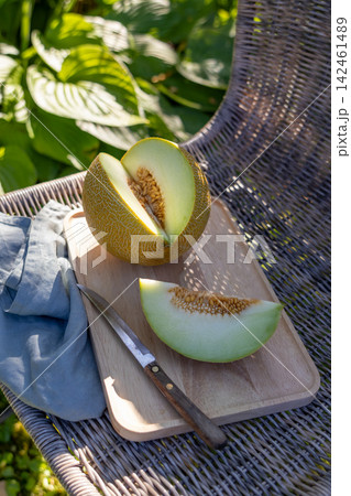 Cut Melon on Wooden Tray on Wicker Chair in Sunny Summer Garden Cut Melon on Wooden Tray on Wicker Chair in Sunny Summer Garden 142461489