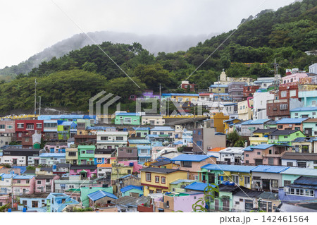 Dense rows of colorful houses cover a green hillside beneath forested slopes wrapped in low clouds and mist. Dense rows of colorful houses cover a green hillside beneath forested slopes wrapped in low clouds and mist. 142461564