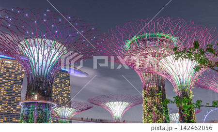 Futuristic aerial view of amazing illumination at Garden by the Bay day to night timelapse in Singapore. Futuristic aerial view of amazing illumination at Garden by the Bay day to night timelapse in Singapore. 142462056
