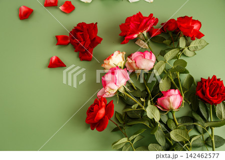 Red and pink roses arranged on soft green background Red and pink roses arranged on soft green background 142462577