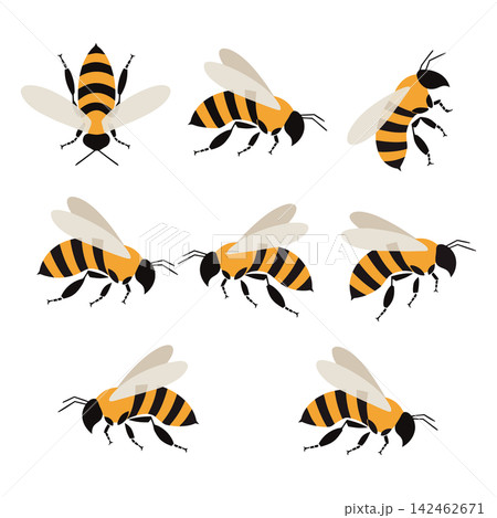 The image shows a set of nine flat-style vector illustrations depicting cartoon honeybees 142462671