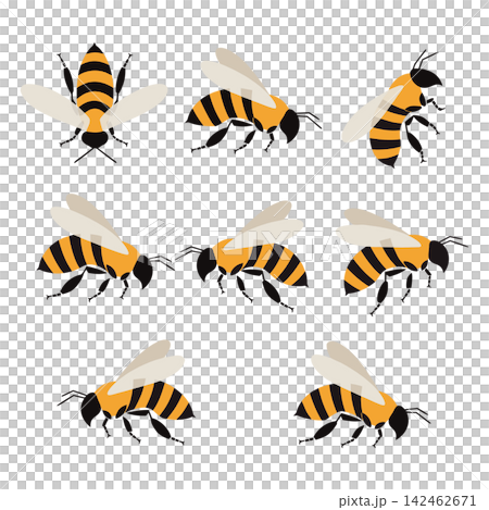 The image shows a set of nine flat-style vector illustrations depicting cartoon honeybees 142462671