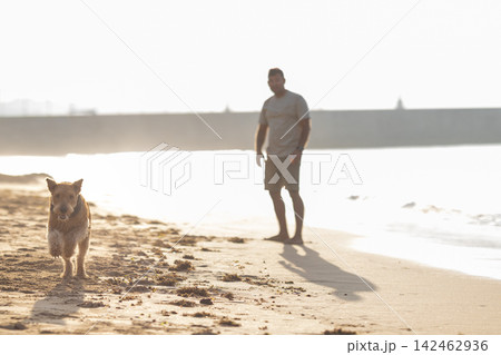 Man walking on sandy beach with dog running towards him, ocean waves gently lapping at the shore under bright sunlight in a coastal setting. Airedale Terrier 142462936