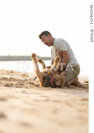 Man playing with a brown dog on sandy beach, dog rolling on its back while man kneels beside it, water and pier visible in the background. Airedale Terrier 142462946