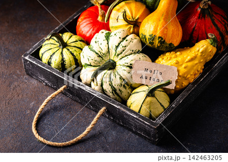 Assortment of different decorative pumpkins Assortment of different decorative pumpkins 142463205