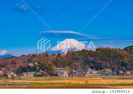 【静岡県】伊豆・丹那盆地のダイコン干しと富士山 【静岡県】伊豆・丹那盆地のダイコン干しと富士山 142464513