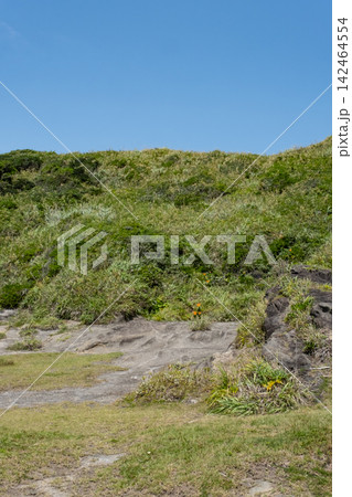 夏の神奈川県三浦半島 城ヶ島海岸 岬の風景 夏の神奈川県三浦半島 城ヶ島海岸 岬の風景 142464554