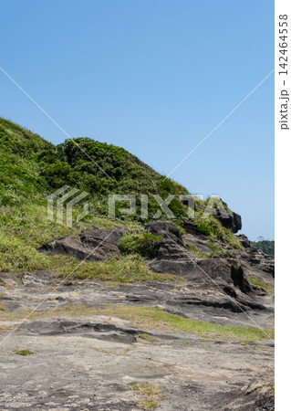 夏の神奈川県三浦半島 城ヶ島海岸 岬の風景 夏の神奈川県三浦半島 城ヶ島海岸 岬の風景 142464558
