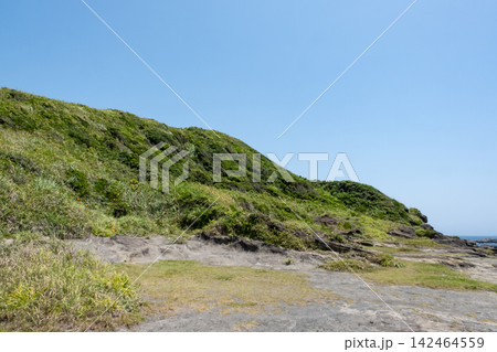 夏の神奈川県三浦半島 城ヶ島海岸 岬の風景 142464559