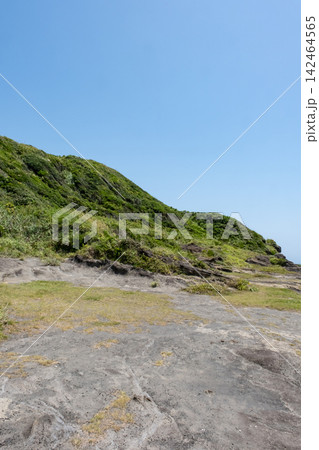 夏の神奈川県三浦半島 城ヶ島海岸 岬の風景 夏の神奈川県三浦半島 城ヶ島海岸 岬の風景 142464565