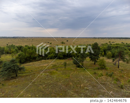 Abandoned Airfield with Planes Decay Behind Trees Abandoned Airfield with Planes Decay Behind Trees 142464676