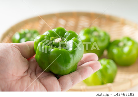 手にのせた伝統野菜のかぐら南蛮(9月) 手にのせた伝統野菜のかぐら南蛮(9月) 142465192