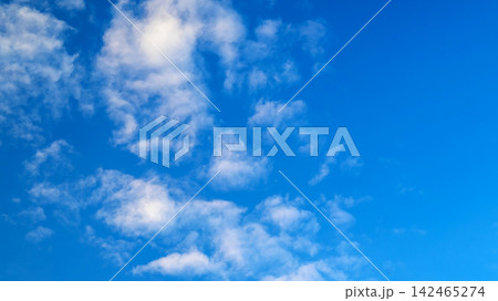 fluffy cumulus clouds in the blue sky space 142465274