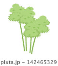 竹 142465329