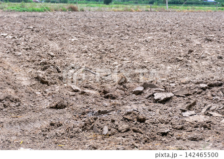 Dry plowed farmland rough brown soil prepared for planting showing agricultural land cultivation field preparation farming rural environment Dry plowed farmland rough brown soil prepared for planting showing agricultural land cultivation field preparation farming rural environment 142465500