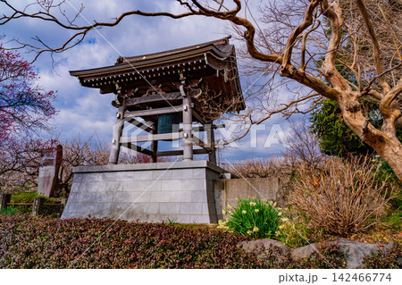 【神奈川県】曽我梅林　瑞雲寺・鐘 142466774