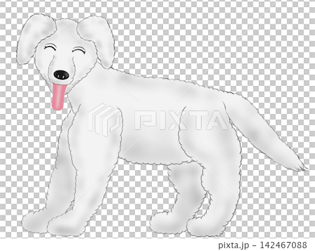Illustration of a fluffy white dog Illustration of a fluffy white dog 142467088