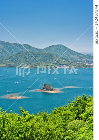 【四方見展望台】からの景色 (鳴門市) 【四方見展望台】からの景色 (鳴門市) 142467344