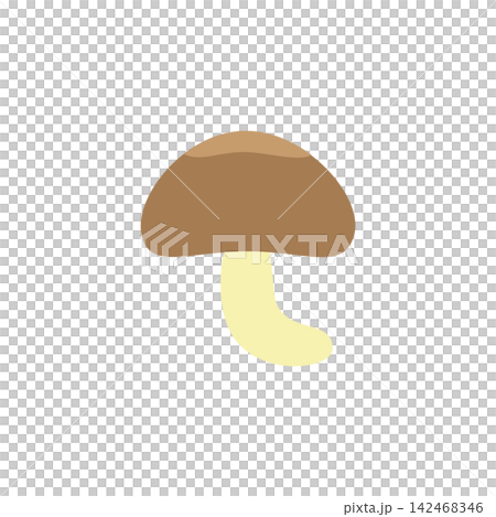 Illustration of a simple shiitake mushroom Illustration of a simple shiitake mushroom 142468346