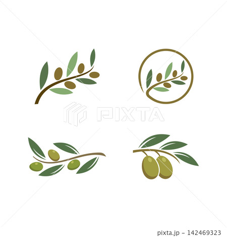 Olive illustration vector 142469323