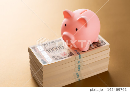 700万円の札束とピンクの豚の貯金箱　金バック 142469761