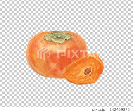 A realistic persimmon painted with watercolors A realistic persimmon painted with watercolors 142469876