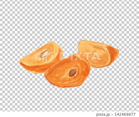 A realistic persimmon painted with watercolors A realistic persimmon painted with watercolors 142469877