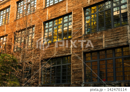 Windows of historic structure reflect nature outside during golden hour Windows of historic structure reflect nature outside during golden hour 142470114