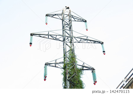 Power transmission tower stands tall against the sky, adorned with greenery 142470115